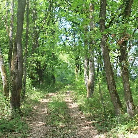 Maison De Campagne Pour Vous Ressourcer *